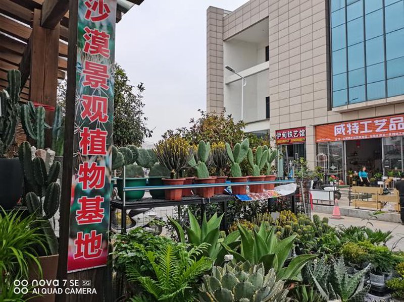 开业花篮选购指南：打造美好开场